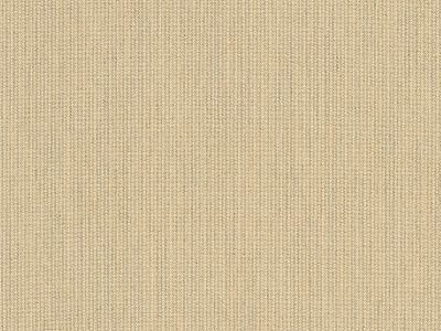 Sunbrella Spectrum Sand furniture fabric. Item number 48019-0000